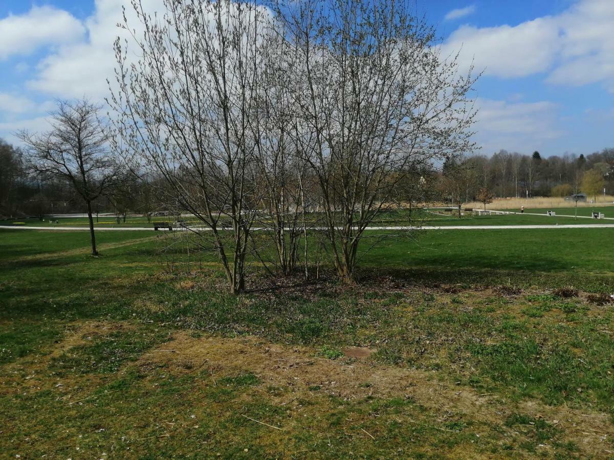 Vuchkov Apartments Marktredwitz Zewnętrze zdjęcie